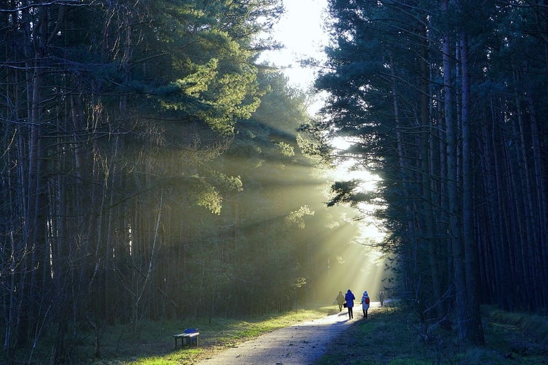 Nature Trail